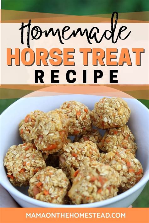 Horse treat recipes